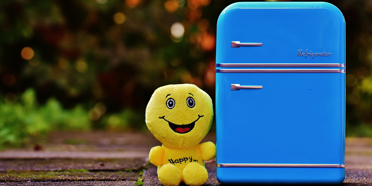 Frigorifero in fiamme